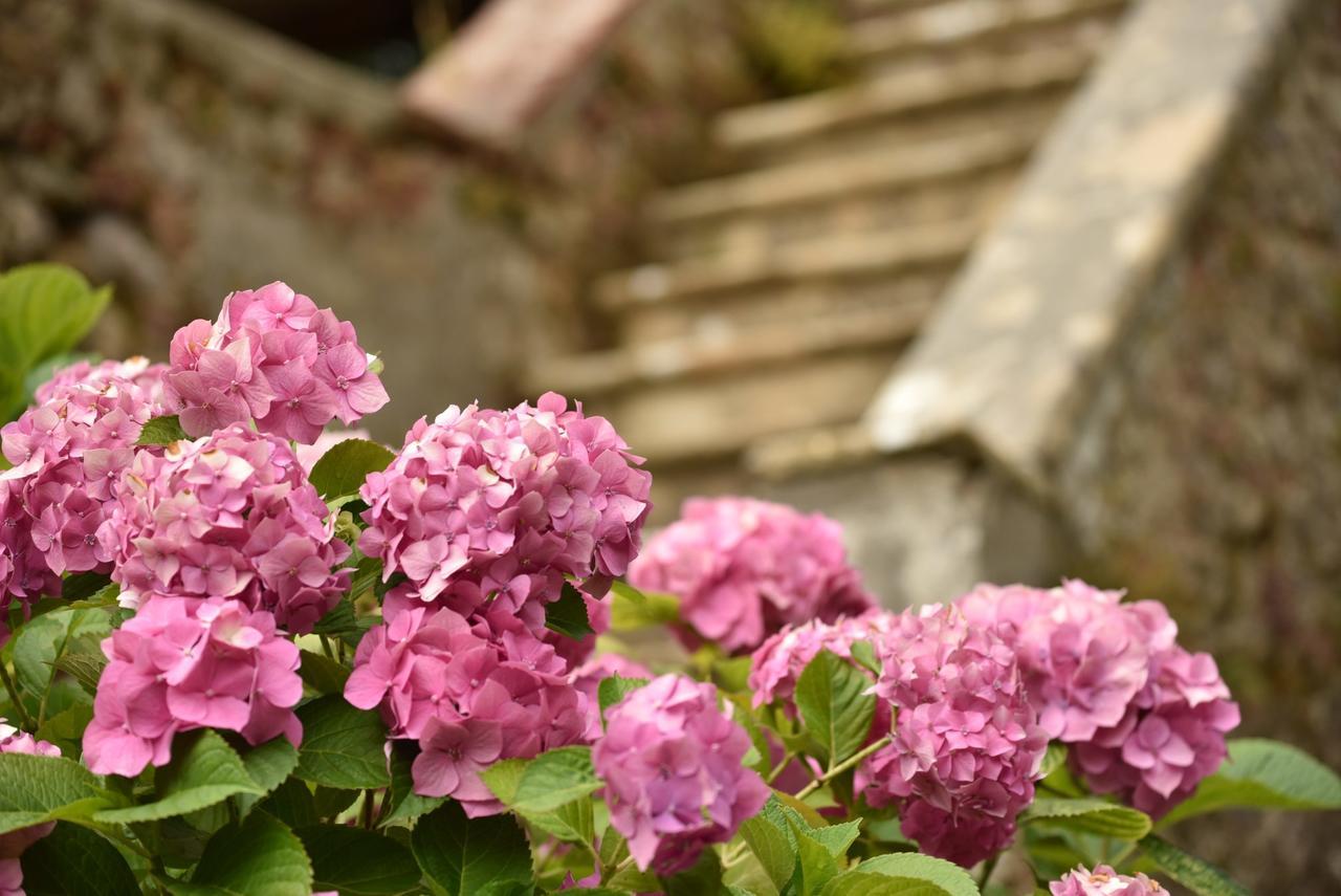 Relais Corte Rodeschi Camaiore Exterior photo
