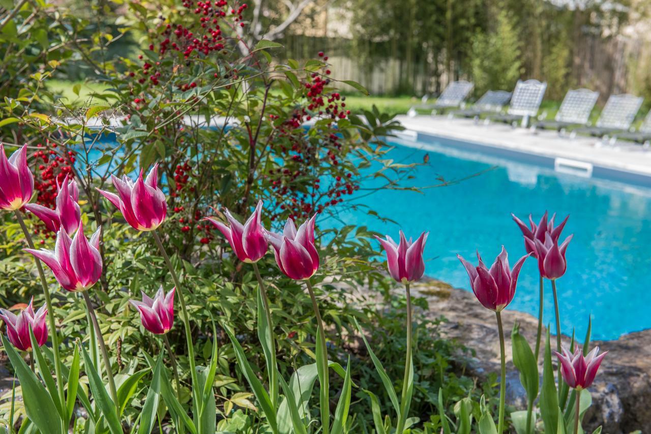 Relais Corte Rodeschi Camaiore Exterior photo