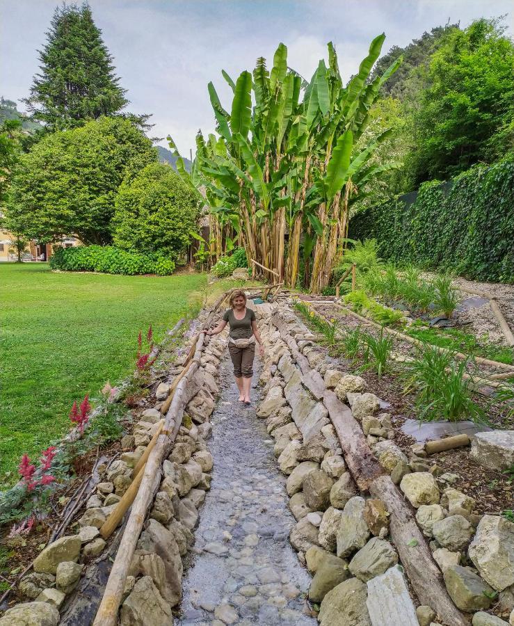 Relais Corte Rodeschi Camaiore Exterior photo